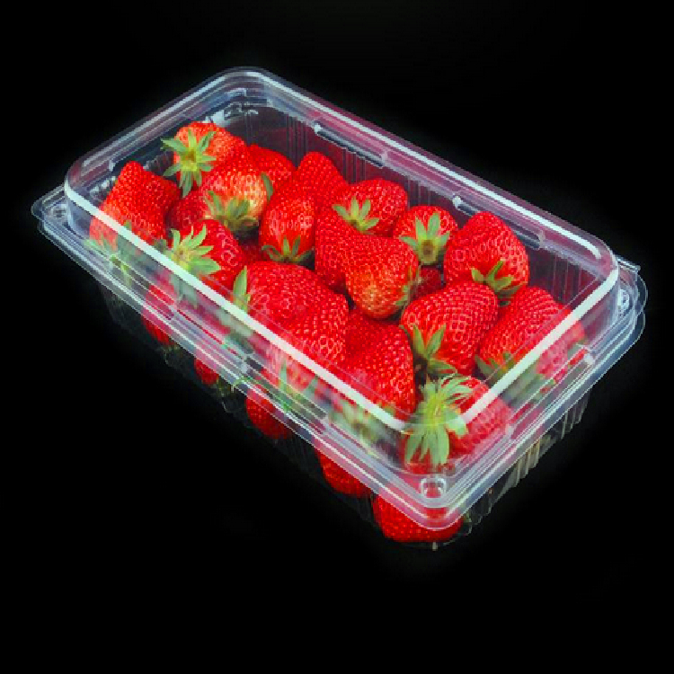 吸塑草莓盒
