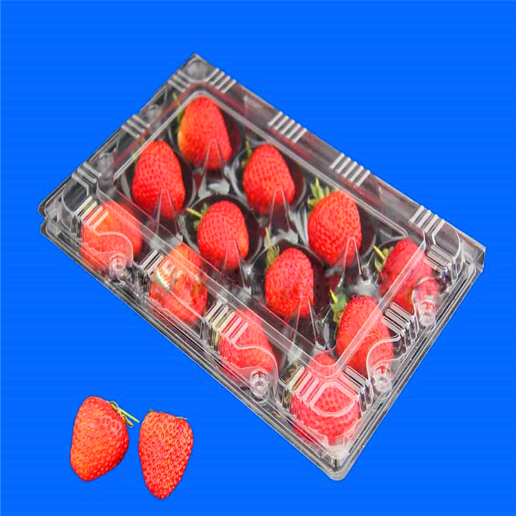 吸塑草莓盒
